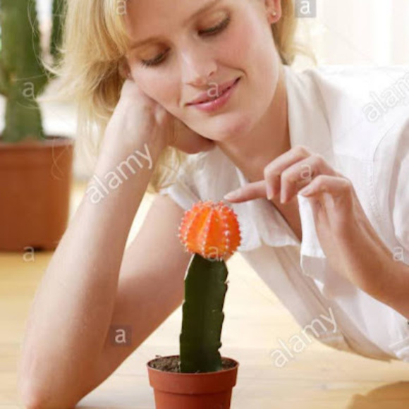 Meet your Posher, Sneezes - Picture 1 of 1